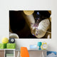 Anemone Shrimp Its Anemone Wall Decal