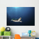Green Sea Turtle Swims Wall Decal