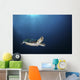 Green Sea Turtle Swims Wall Decal