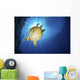 Green Sea Turtle with Wall Decal