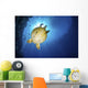 Green Sea Turtle with Wall Decal