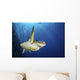 Green Sea Turtle Swims Close-up Wall Decal