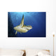 Green Sea Turtle Swims Close-up Wall Decal