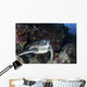 Turtle Rests Ledge Coral Wall Decal