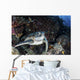 Turtle Rests Ledge Coral Wall Decal