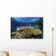 Fish over Coral Reef Wall Decal