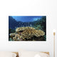 Fish over Coral Reef Wall Decal