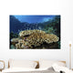 Fish over Coral Reef Wall Decal