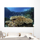Fish over Coral Reef Wall Decal