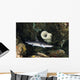 Whitetip Reef Shark Hunting Wall Decal