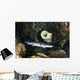 Whitetip Reef Shark Hunting Wall Decal