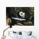 Whitetip Reef Shark Hunting Wall Decal