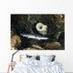 Whitetip Reef Shark Hunting Wall Decal