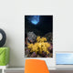 Soft Coral Crevice North Wall Decal