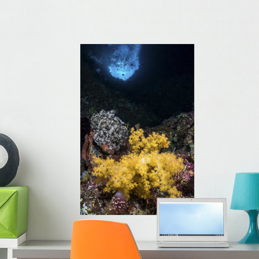 Soft Coral Crevice North Wall Decal