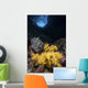 Soft Coral Crevice North Wall Decal
