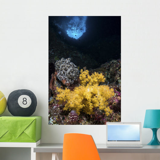 Soft Coral Crevice North Wall Decal