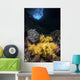 Soft Coral Crevice North Wall Decal