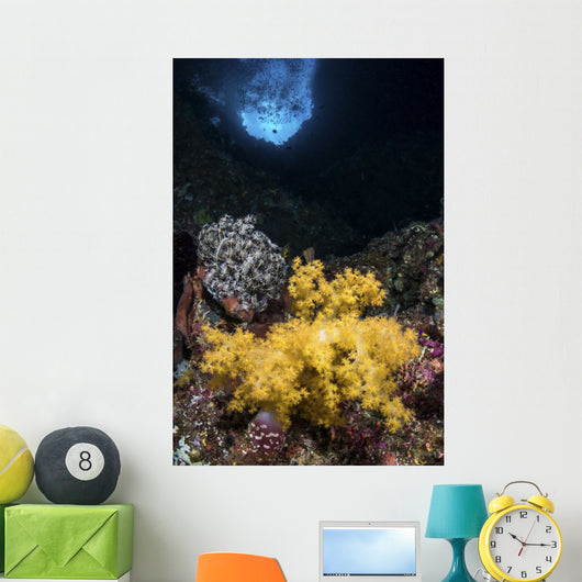Soft Coral Crevice North Wall Decal