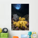 Soft Coral Crevice North Wall Decal
