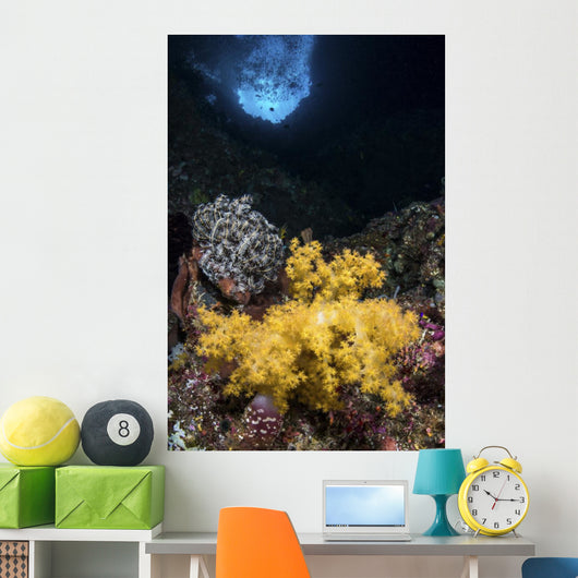 Soft Coral Crevice North Wall Decal