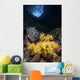 Soft Coral Crevice North Wall Decal