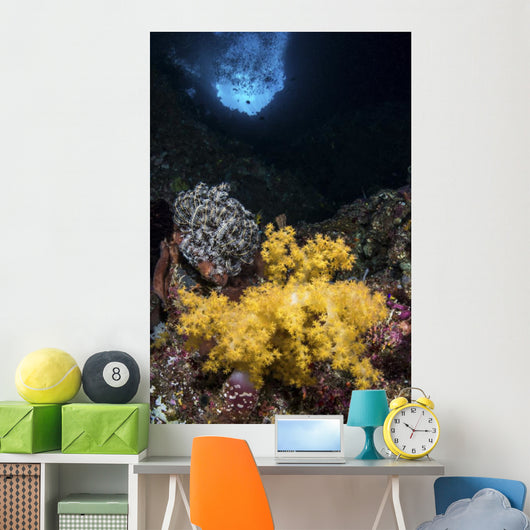 Soft Coral Crevice North Wall Decal