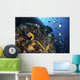 Coronet Follows Angelfish North Wall Decal