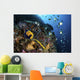 Coronet Follows Angelfish North Wall Decal