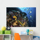 Coronet Follows Angelfish North Wall Decal