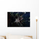 Lionfish Portrait North Sulawesi Wall Decal