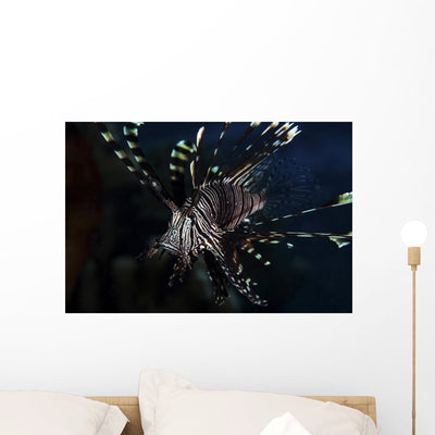 Lionfish Portrait North Sulawesi Wall Decal shown on a wall