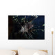Lionfish Portrait North Sulawesi Wall Decal