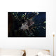 Lionfish Portrait North Sulawesi Wall Decal