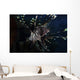 Lionfish Portrait North Sulawesi Wall Decal