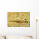 Flathead Goby Is Camouflaged Wall Decal