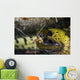 Yellow Spotted Eel Getting Wall Decal