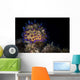 Janolus Nudibranch Lembeh Strait Wall Decal