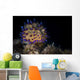 Janolus Nudibranch Lembeh Strait Wall Decal