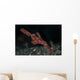 Robust Ghost Pipefish Lembeh Wall Decal