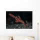 Robust Ghost Pipefish Lembeh Wall Decal