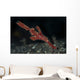 Robust Ghost Pipefish Lembeh Wall Decal