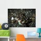 Shrimp Goby and Glass Wall Decal