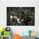 Shrimp Goby and Glass Wall Decal