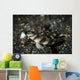 Shrimp Goby and Glass Wall Decal