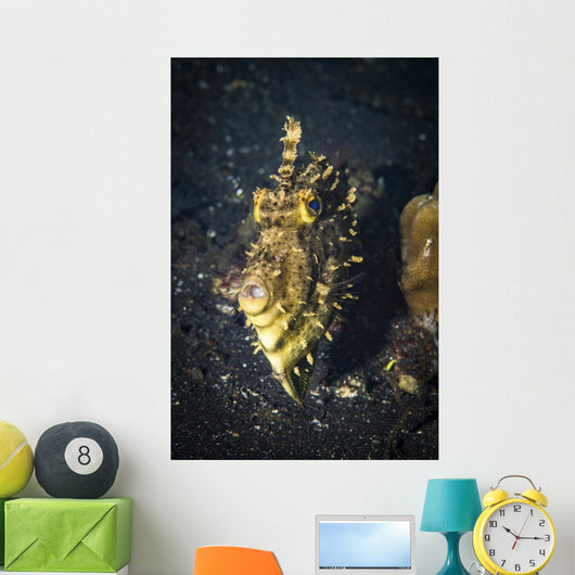 Strapweed Filefish Portrait Lembeh Wall Decal