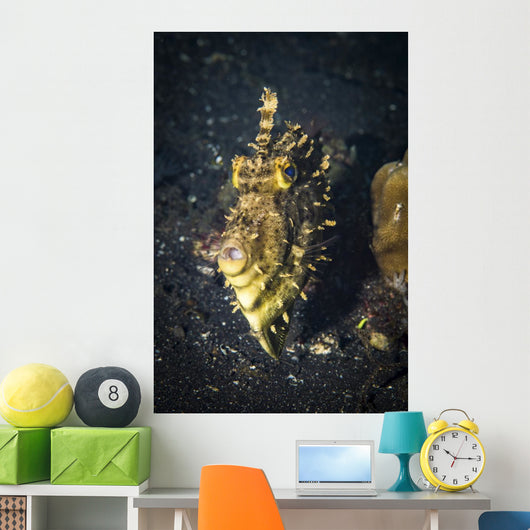 Strapweed Filefish Portrait Lembeh Wall Decal