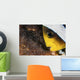 Anemone Fish Cares for Wall Decal
