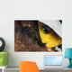 Anemone Fish Cares for Wall Decal
