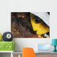 Anemone Fish Cares for Wall Decal